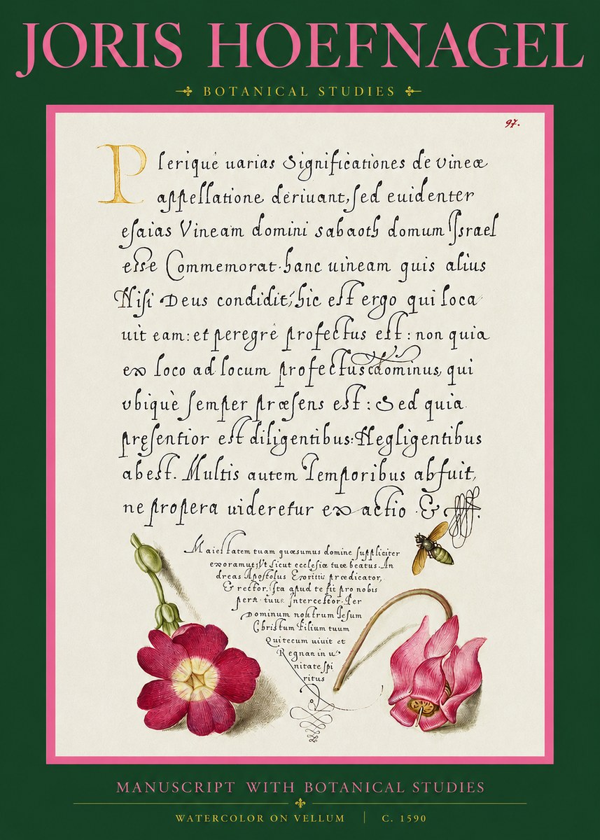Joris Hoefnagel Manuscript with Botanical Studies No2 - Poster