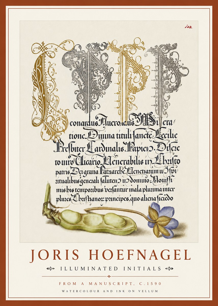 Joris Hoefnagel Illuminated Initials with Peapod and Flower No4 - Poster