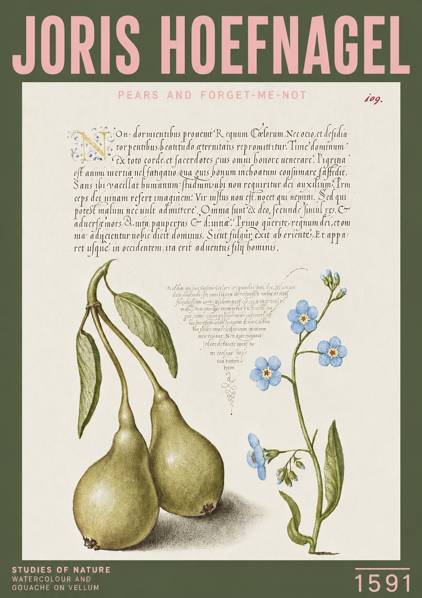 Joris Hoefnagel Pears and Forget-me-not No3 - Poster