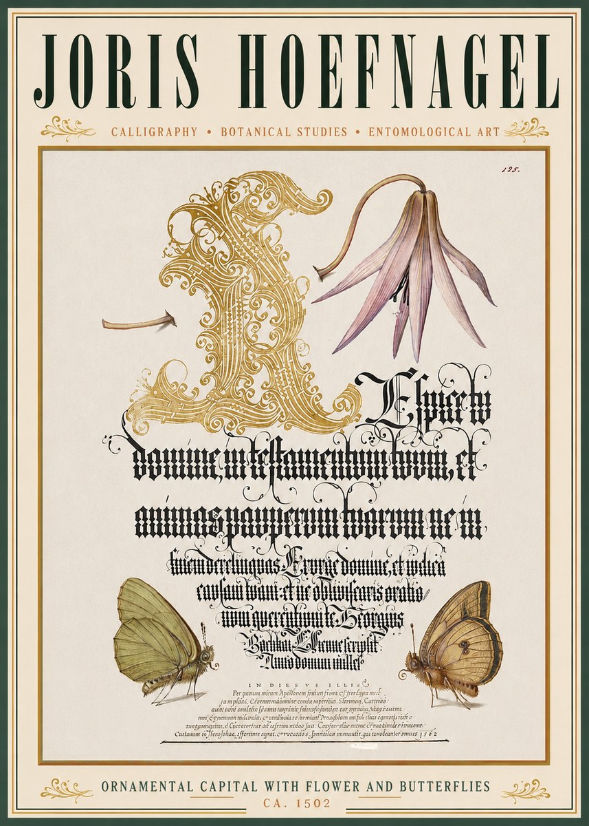 Joris Hoefnagel Ornamental Capital with Flower and Butterflies No3 - Poster