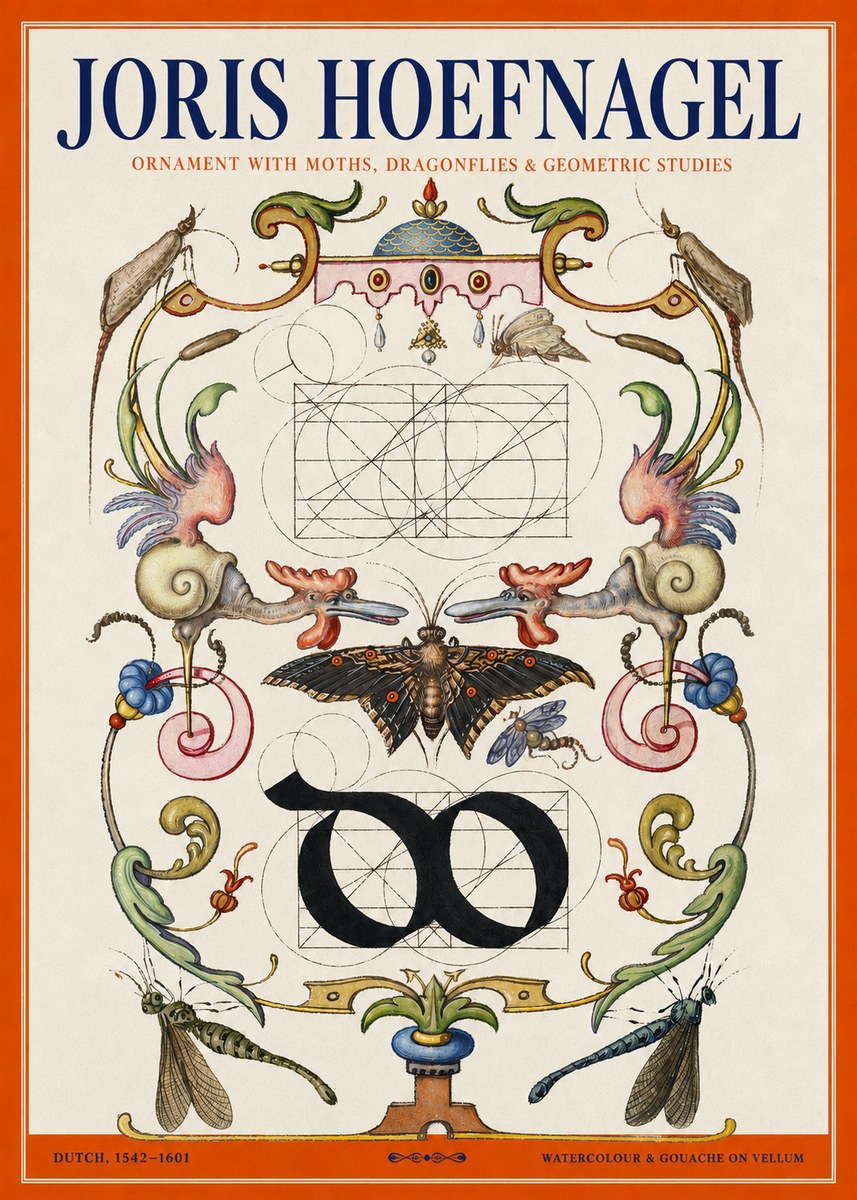 Joris Hoefnagel Ornament with Moths, Dragonflies & Geometric Studies No2 - Poster
