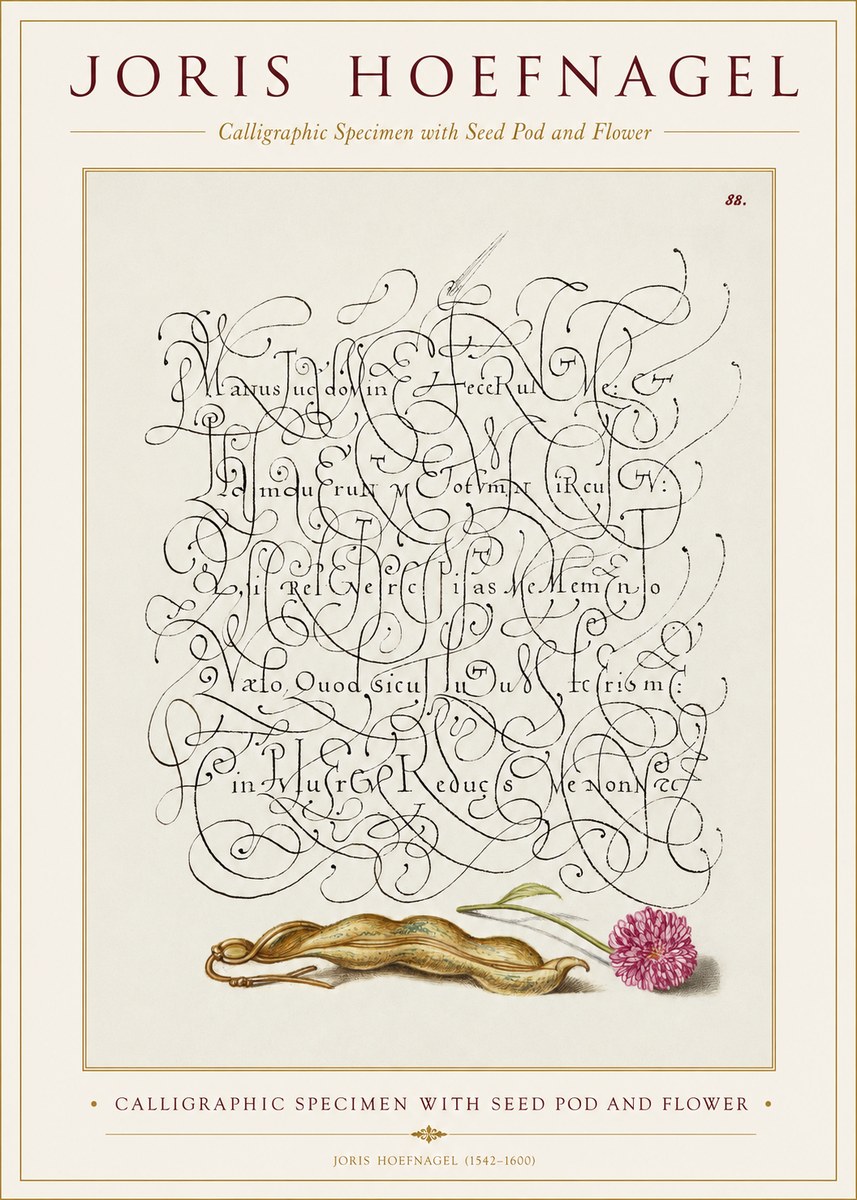 Joris Hoefnagel Calligraphic Specimen with Seed Pod and Flower No1 - Poster