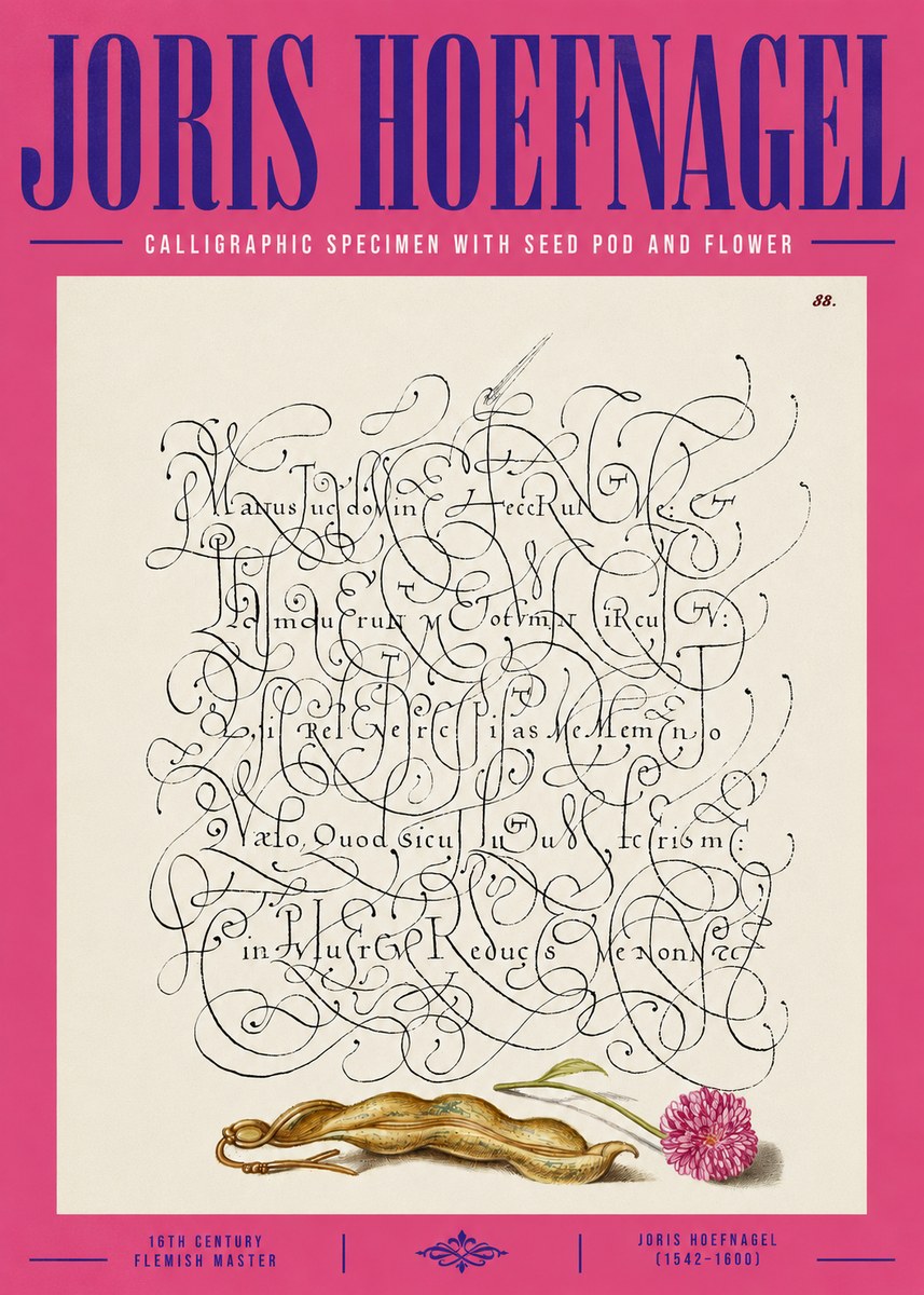 Joris Hoefnagel Calligraphic Specimen with Seed Pod and Flower No4 - Poster