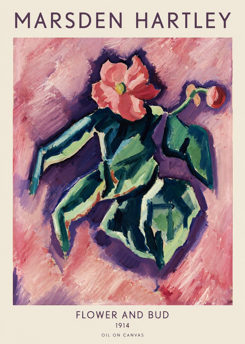 Marsden Hartley Flower and Bud No1 - Poster