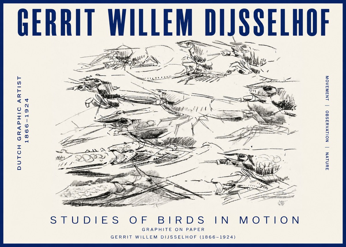 Gerrit Willem Dijsselhof Studies of Birds in Motion No3 - Poster