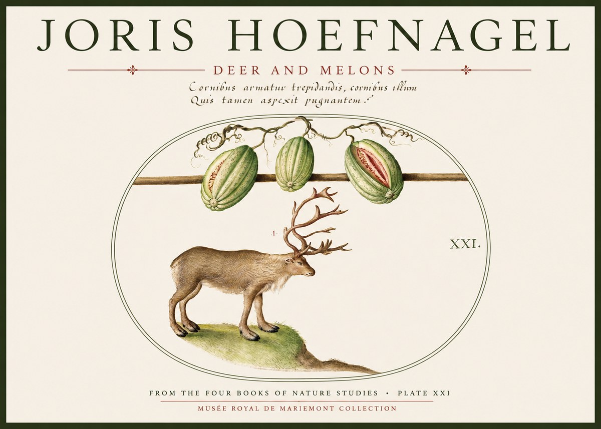 Joris Hoefnagel Arctic Nature Study No6 - Poster