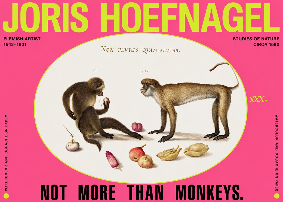 Joris Hoefnagel Not More Than Monkeys No2 - Poster