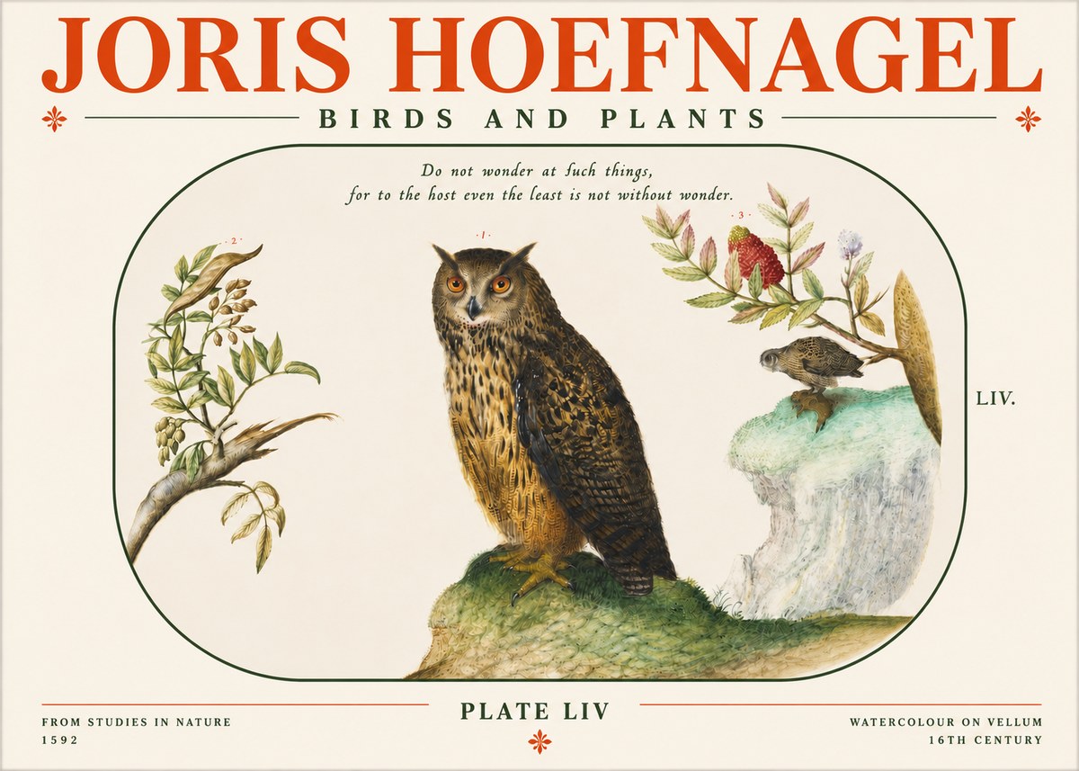 Joris Hoefnagel Bird Study Plate Liv No4 - Poster