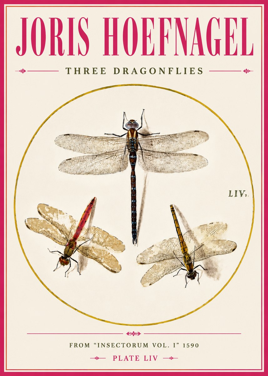 Joris Hoefnagel Three Dragonflies No5 - Poster