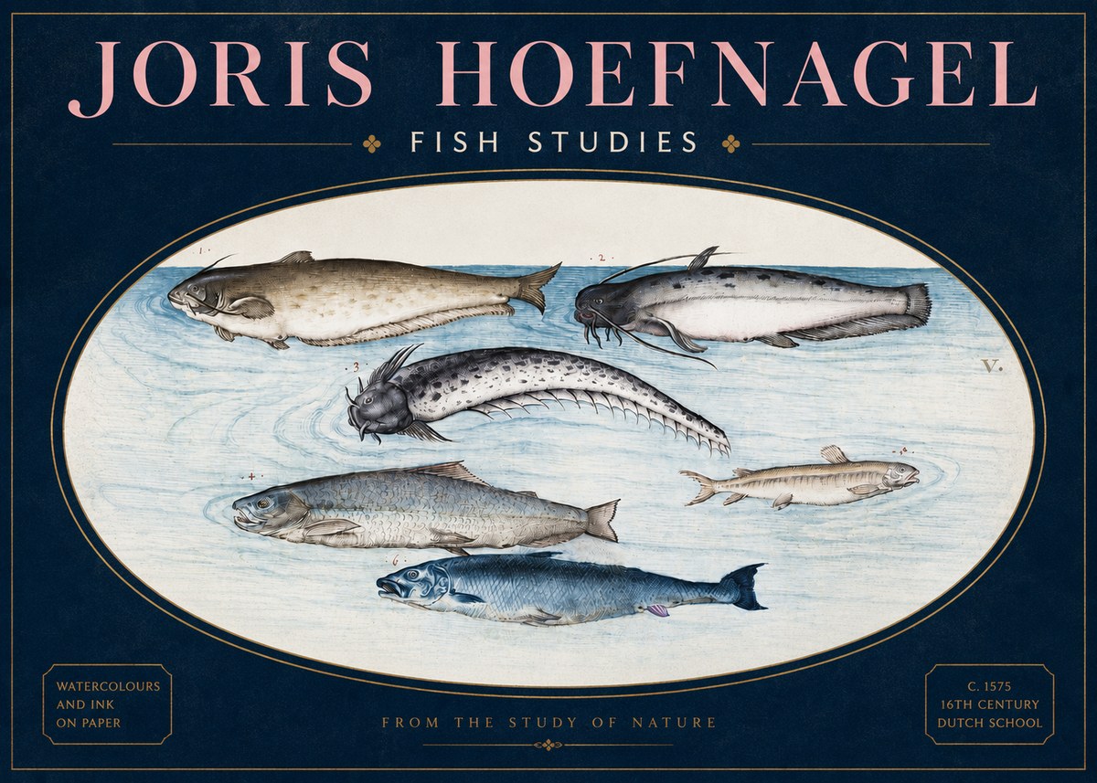 Joris Hoefnagel Fish of the Waters No4 - Poster