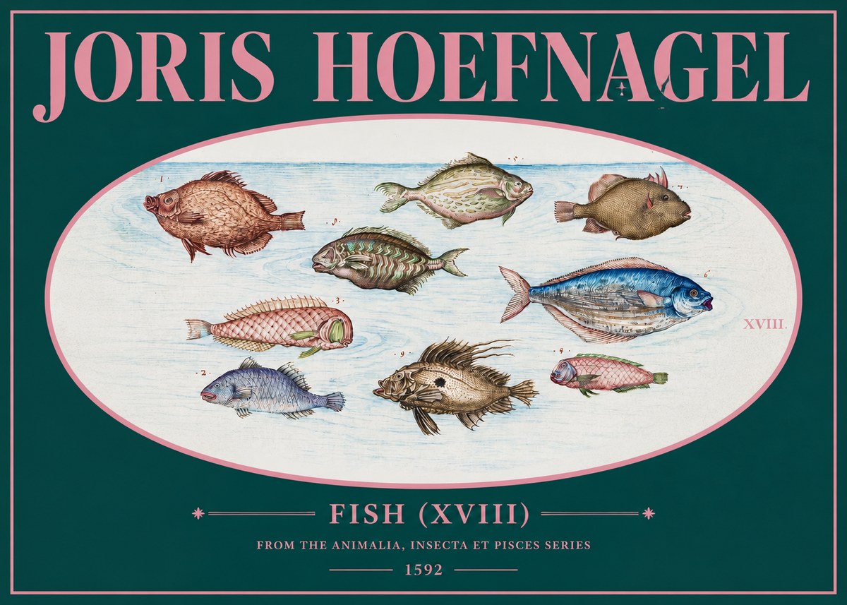 Joris Hoefnagel Studies of Fish I No3 - Poster