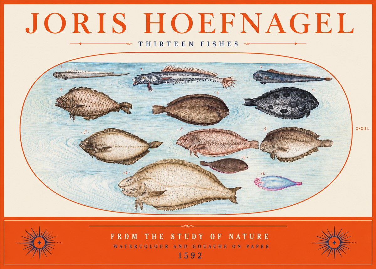 Joris Hoefnagel Thirteen Fishes from the Study of Nature No2 - Poster