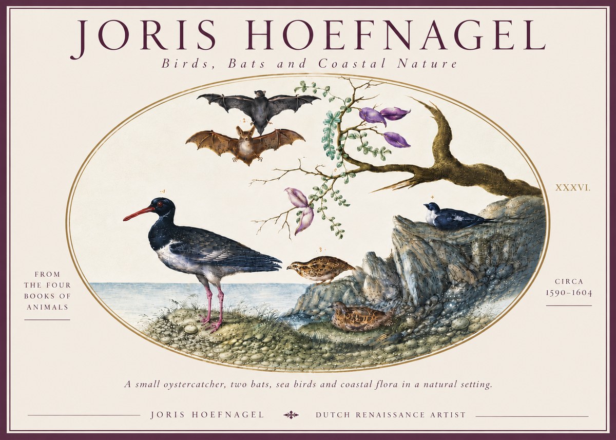 Joris Hoefnagel Birds, Bats and Coastal Nature No6 - Poster