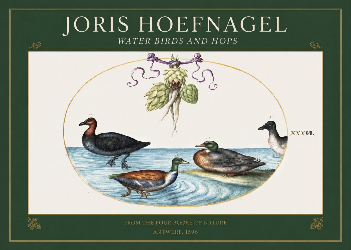 Joris Hoefnagel Waterfowl and Hop Bine No5 - Poster
