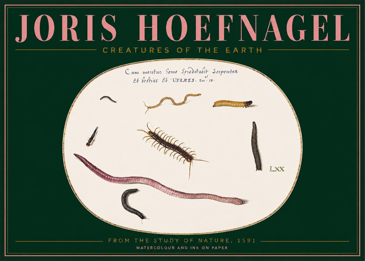 Joris Hoefnagel Creatures of the Earth II No2 - Poster