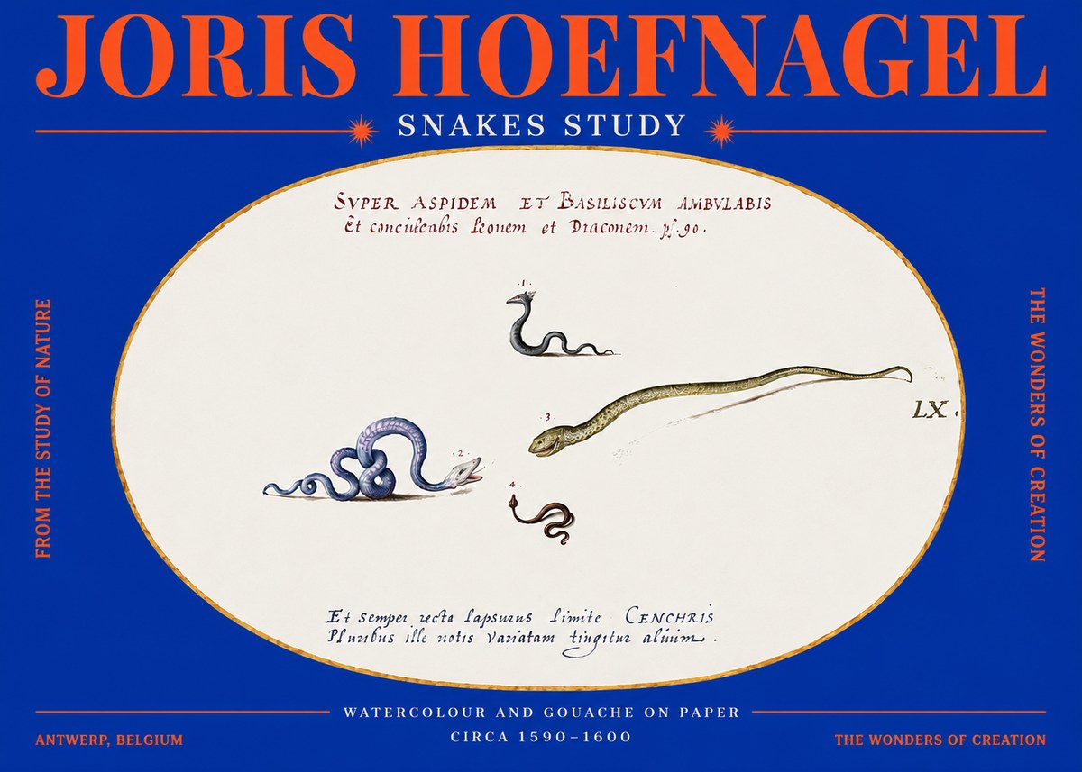 Joris Hoefnagel Studies of Serpents No4 - Poster