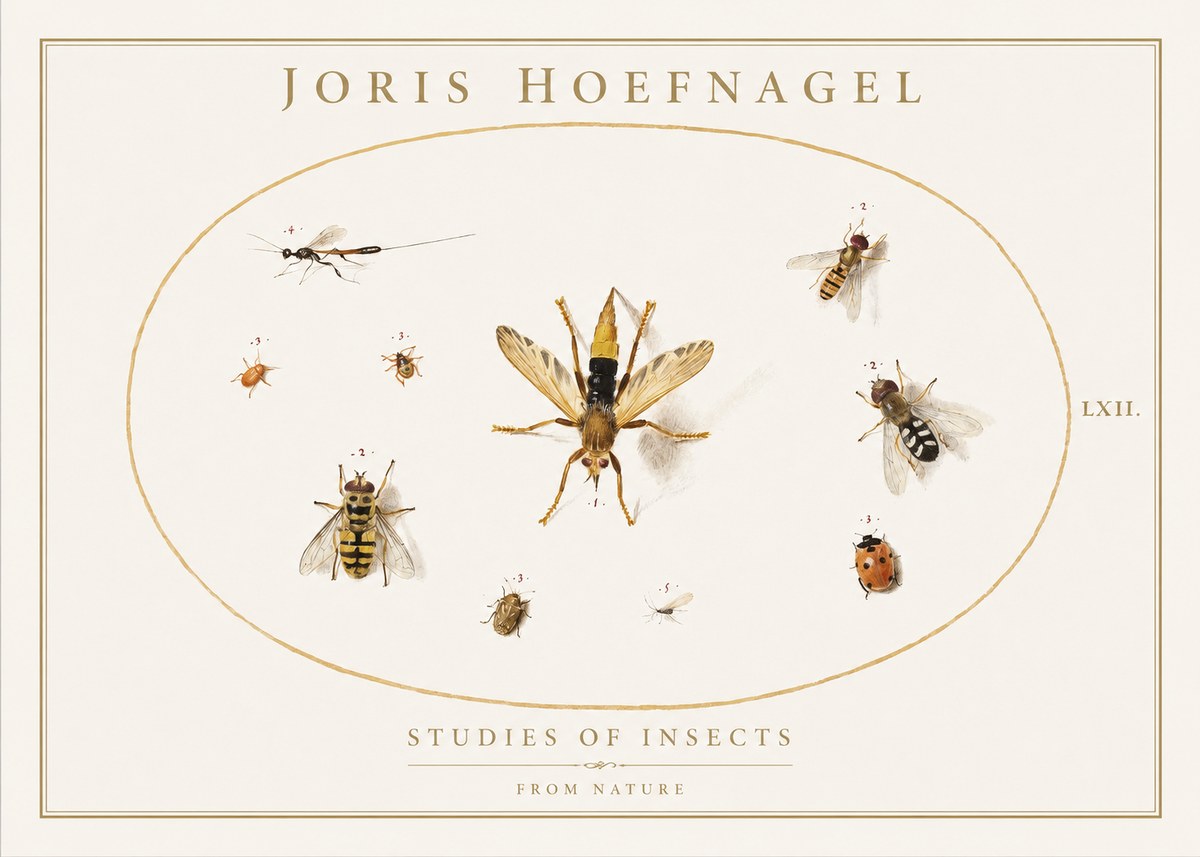 Joris Hoefnagel Studies of Insects IV No1 - Poster