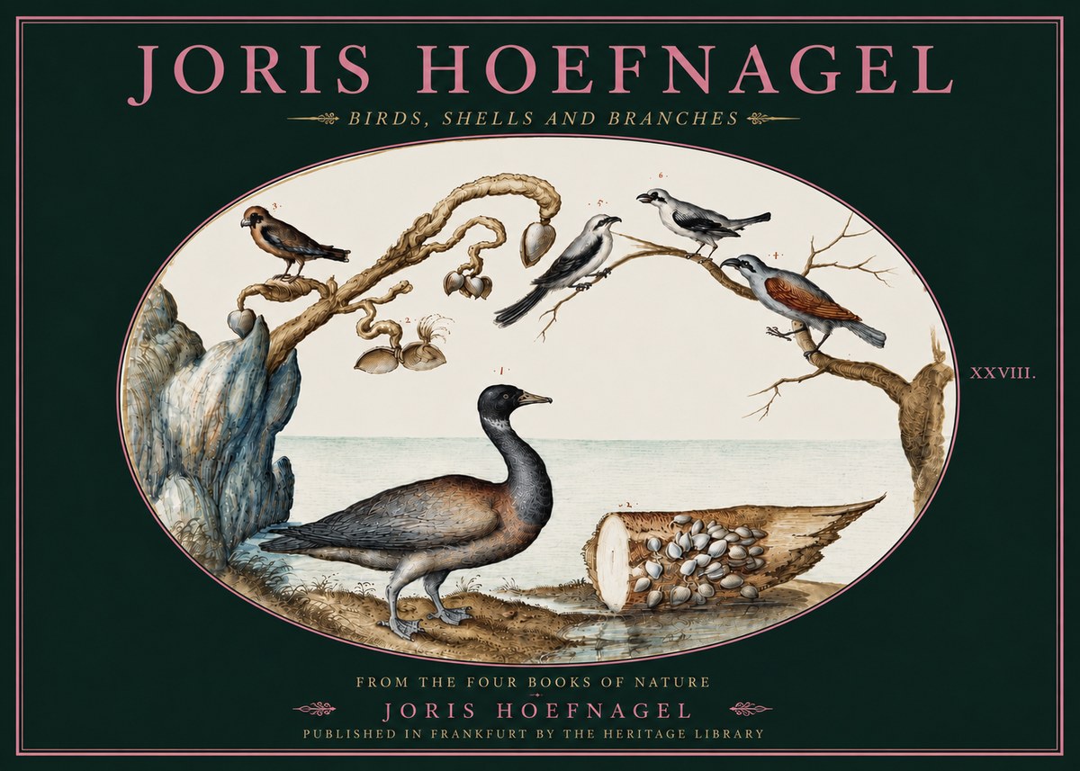 Joris Hoefnagel Birds, Shells and Branches No4 - Poster