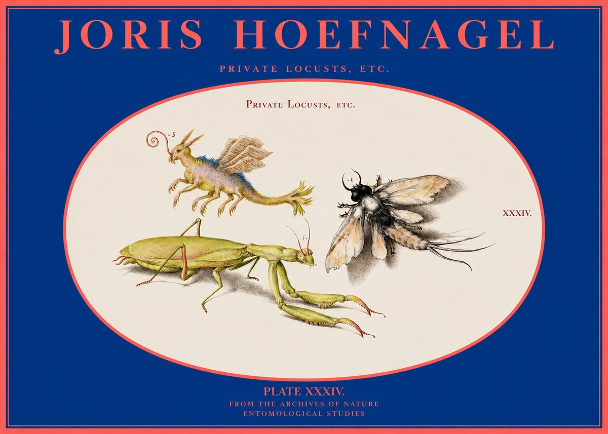 Joris Hoefnagel Privs Locvsta Bovem. No3 - Poster