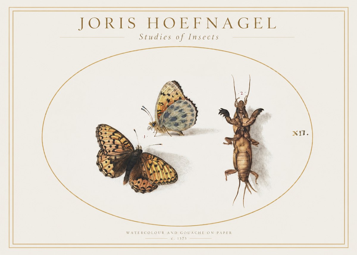 Joris Hoefnagel Studies of Insects Xii No1 - Poster