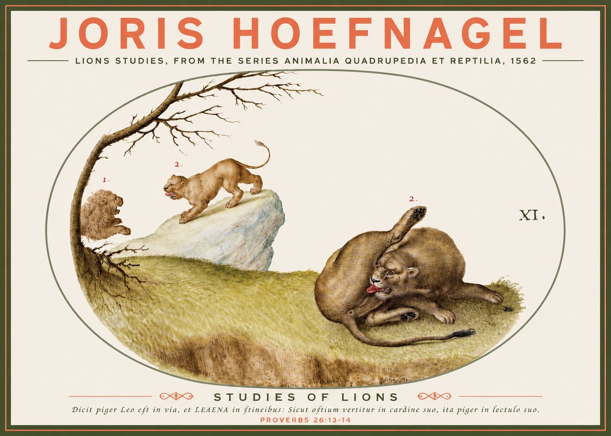 Joris Hoefnagel Lions Studies No3 - Poster