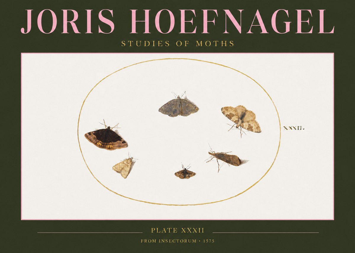 Joris Hoefnagel Studies of Moths III No2 - Poster
