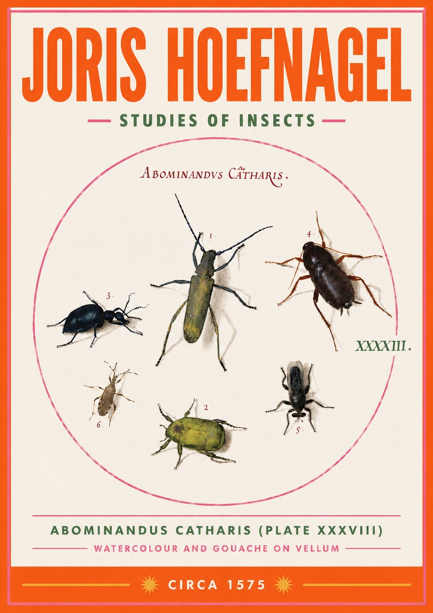 Joris Hoefnagel Abominandus Catharis (Plate Xxxviii) No3 - Poster