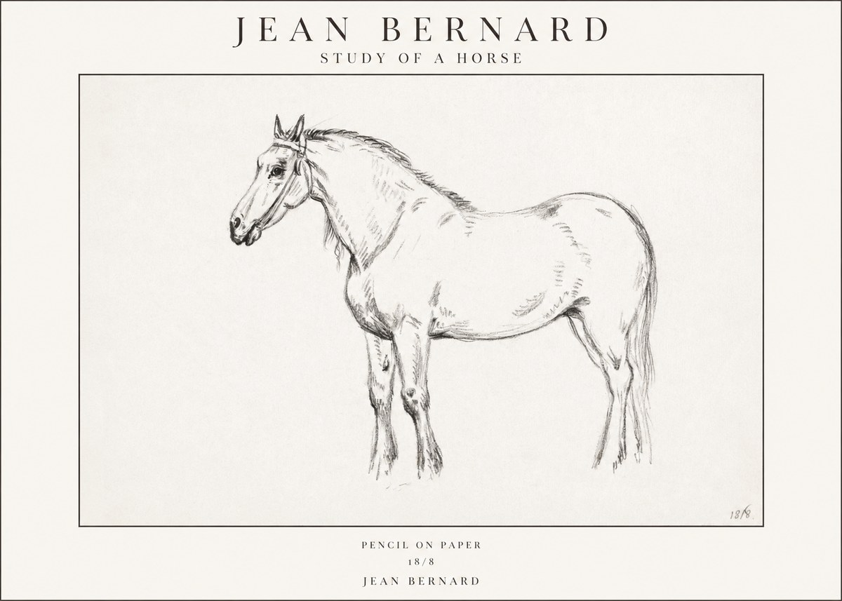 Jean Bernard Study of a Horse XVII No1 - Poster