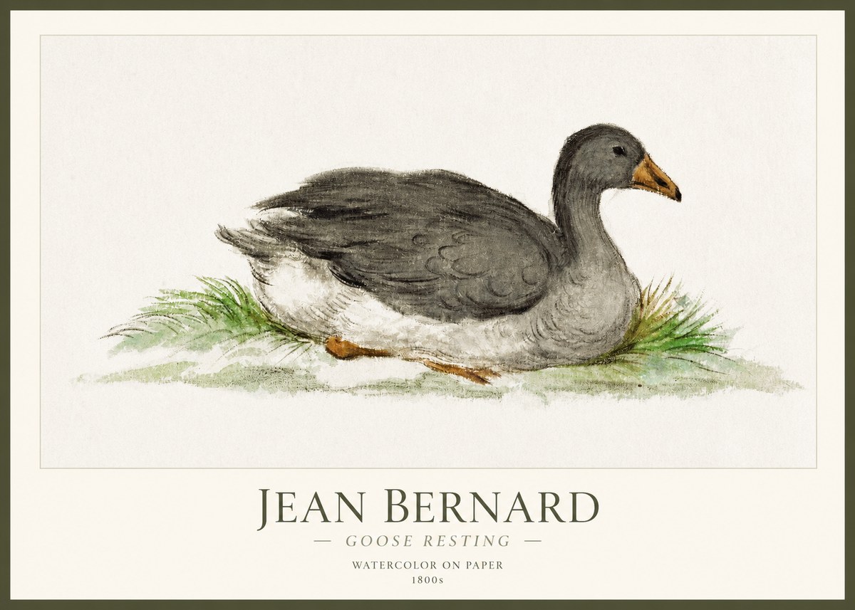 Jean Bernard Goose Resting No1 - Poster