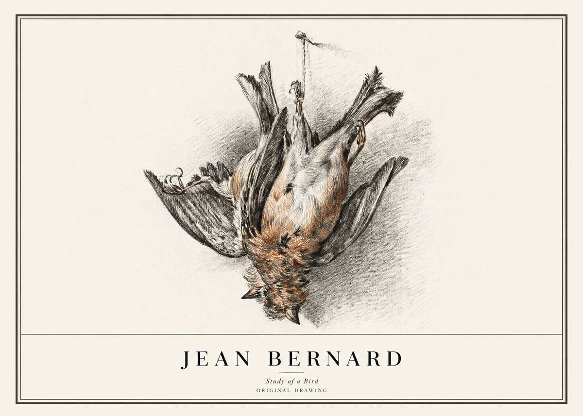 Jean Bernard Study of a Bird IV No1 - Poster