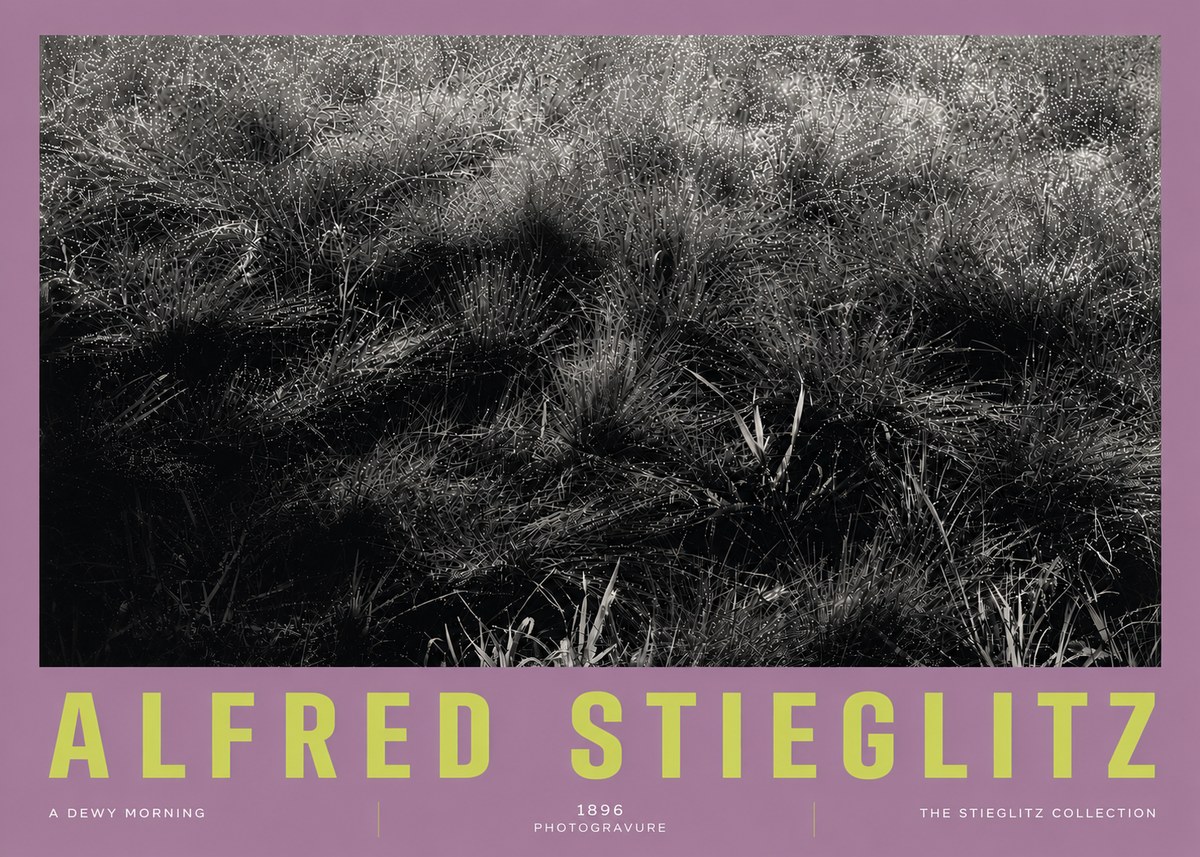 Alfred Stieglitz A Dewy Morning No5 - Poster