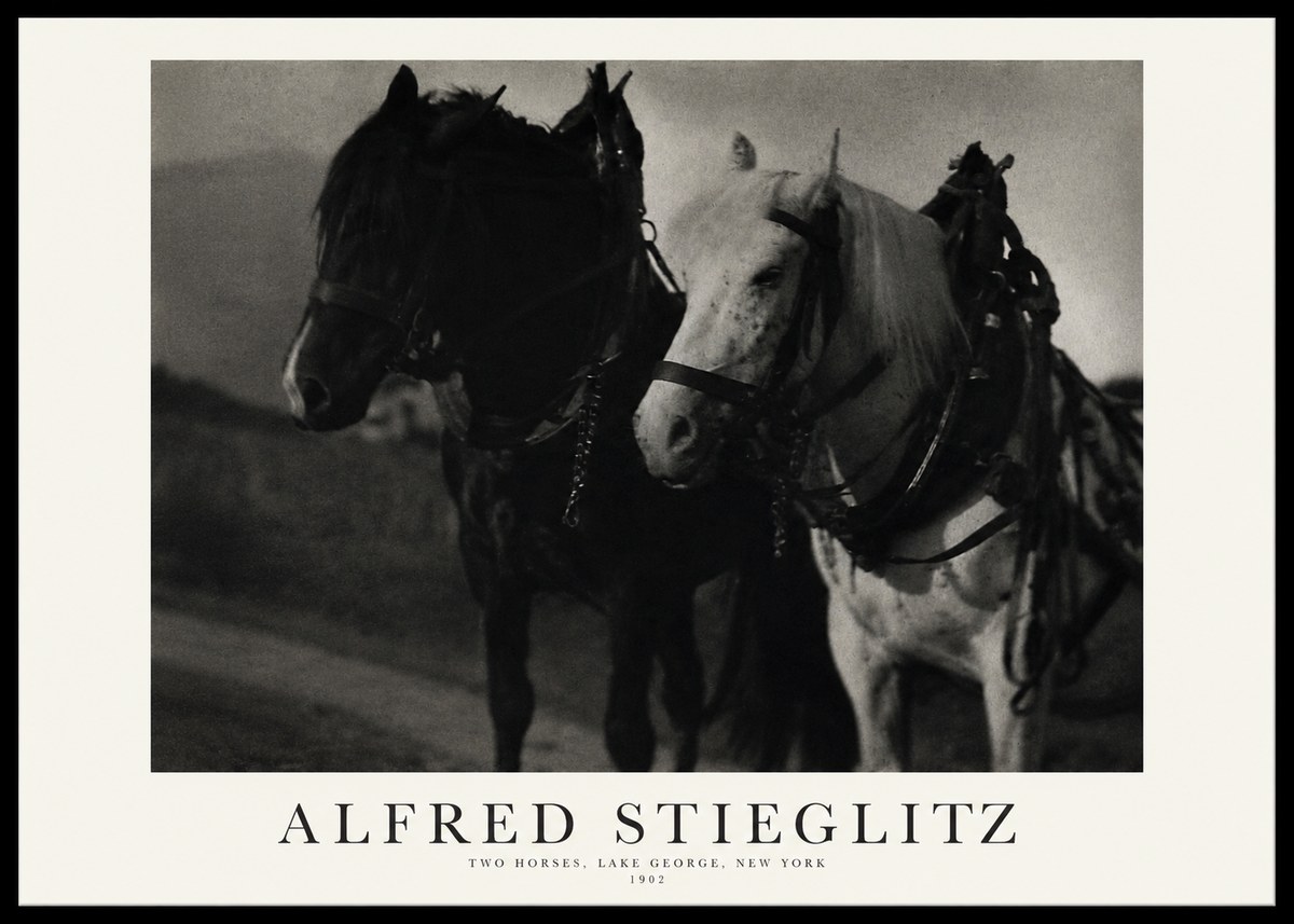 Alfred Stieglitz Two Horses, Lake George, New York No1 - Poster