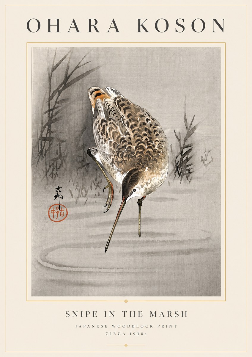 Ohara Koson Snipe in the Marsh No6 - Poster
