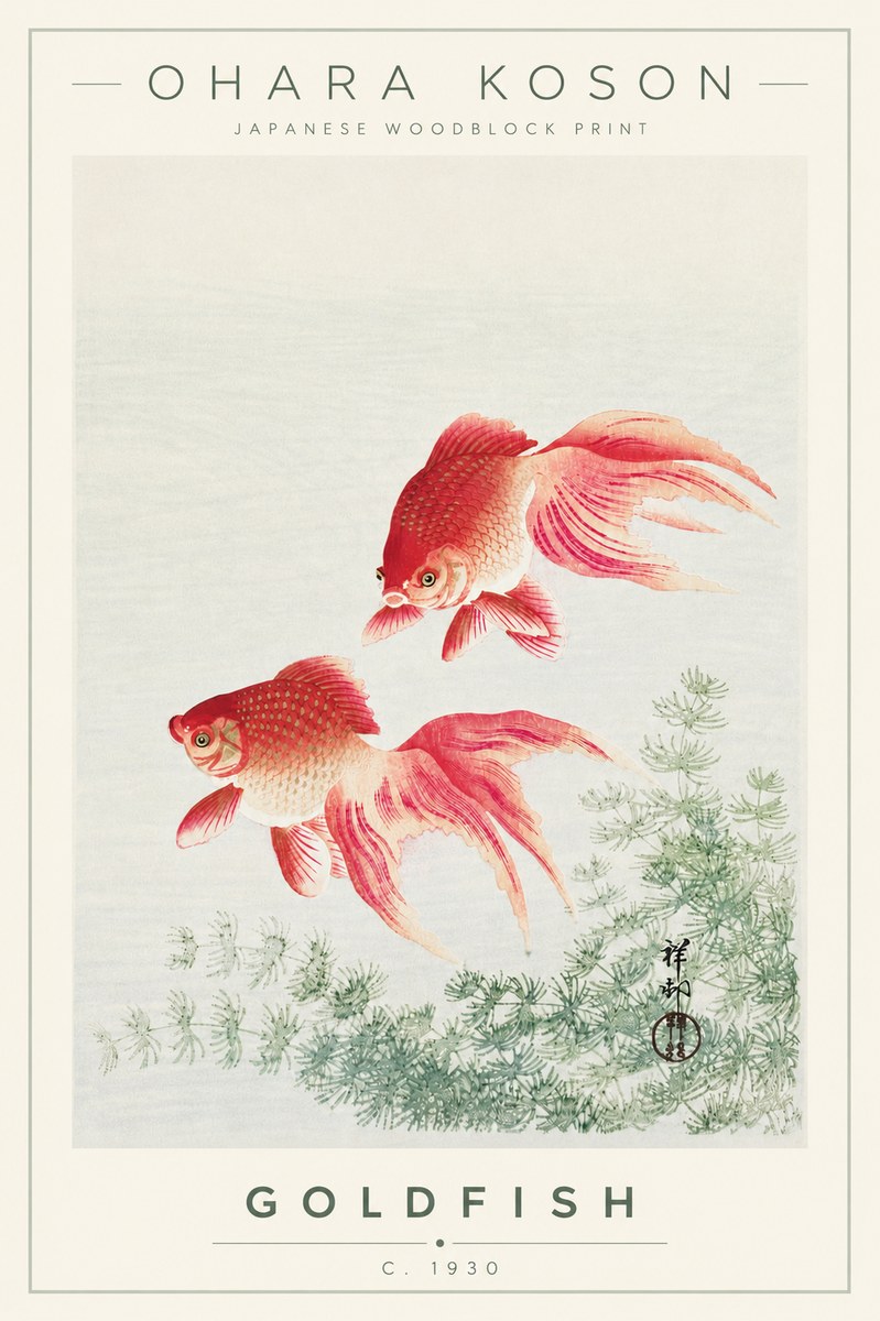 Ohara Koson Goldfish No4 - Poster
