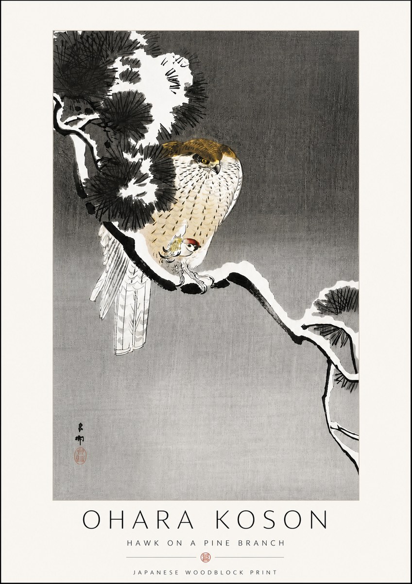 Ohara Koson Hawk on a Pine Branch No6 - Poster