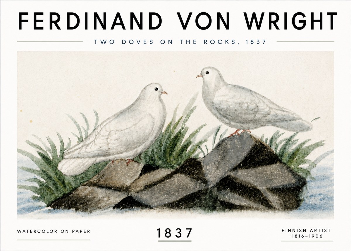 Ferdinand von Wright Two Doves on the Rocks, 1837 No6 - Poster