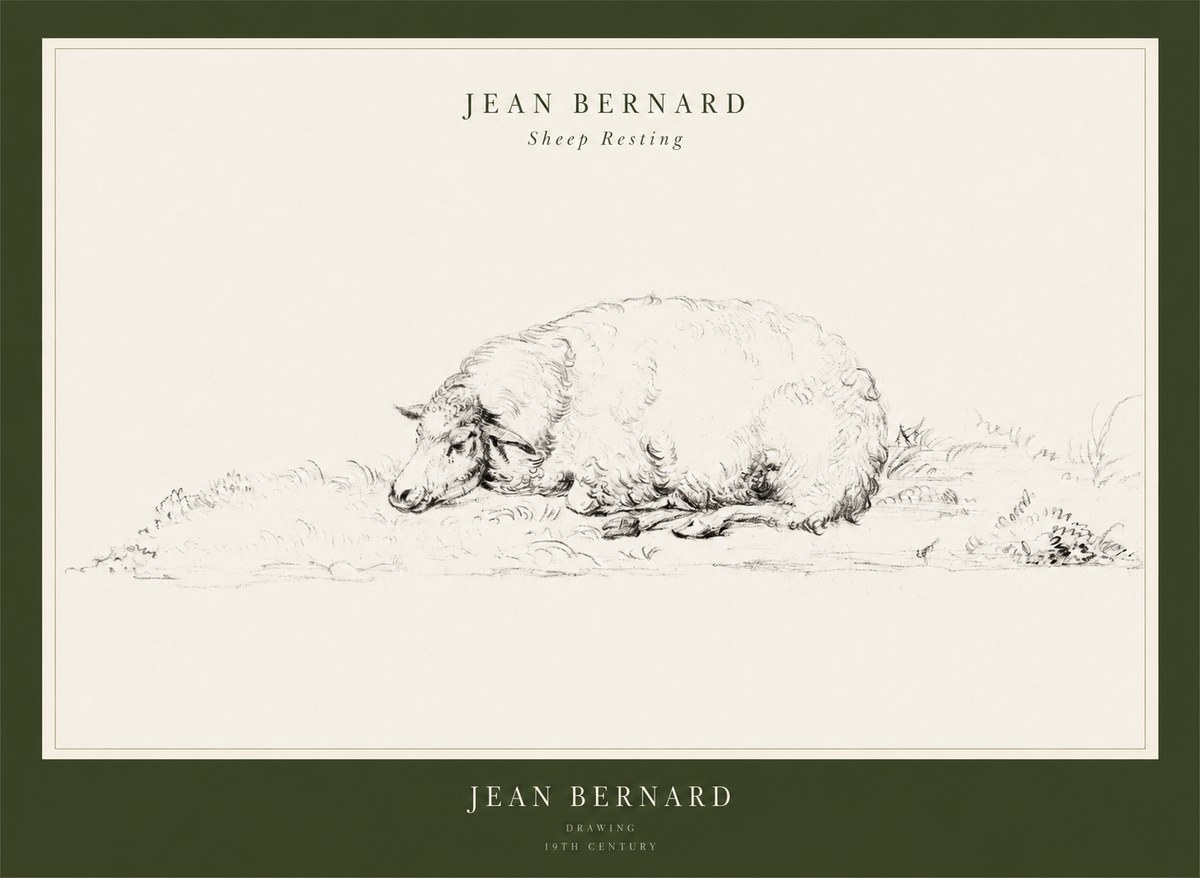 Jean Bernard Sheep Resting on the Ground No3 - Poster