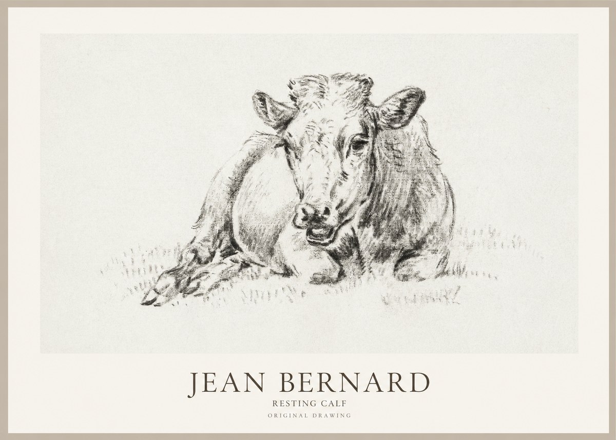 Jean Bernard Resting Calf II No1 - Poster