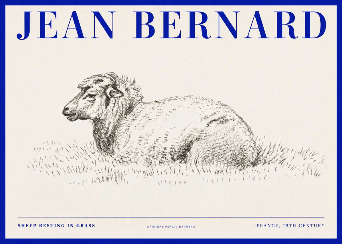 Jean Bernard Sheep Resting in Grass No2 - Poster