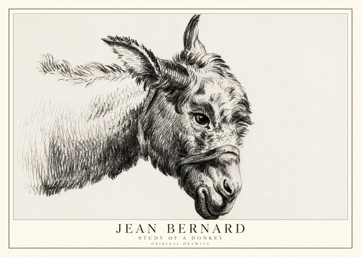 Jean Bernard Study of a Donkey I No1 - Poster