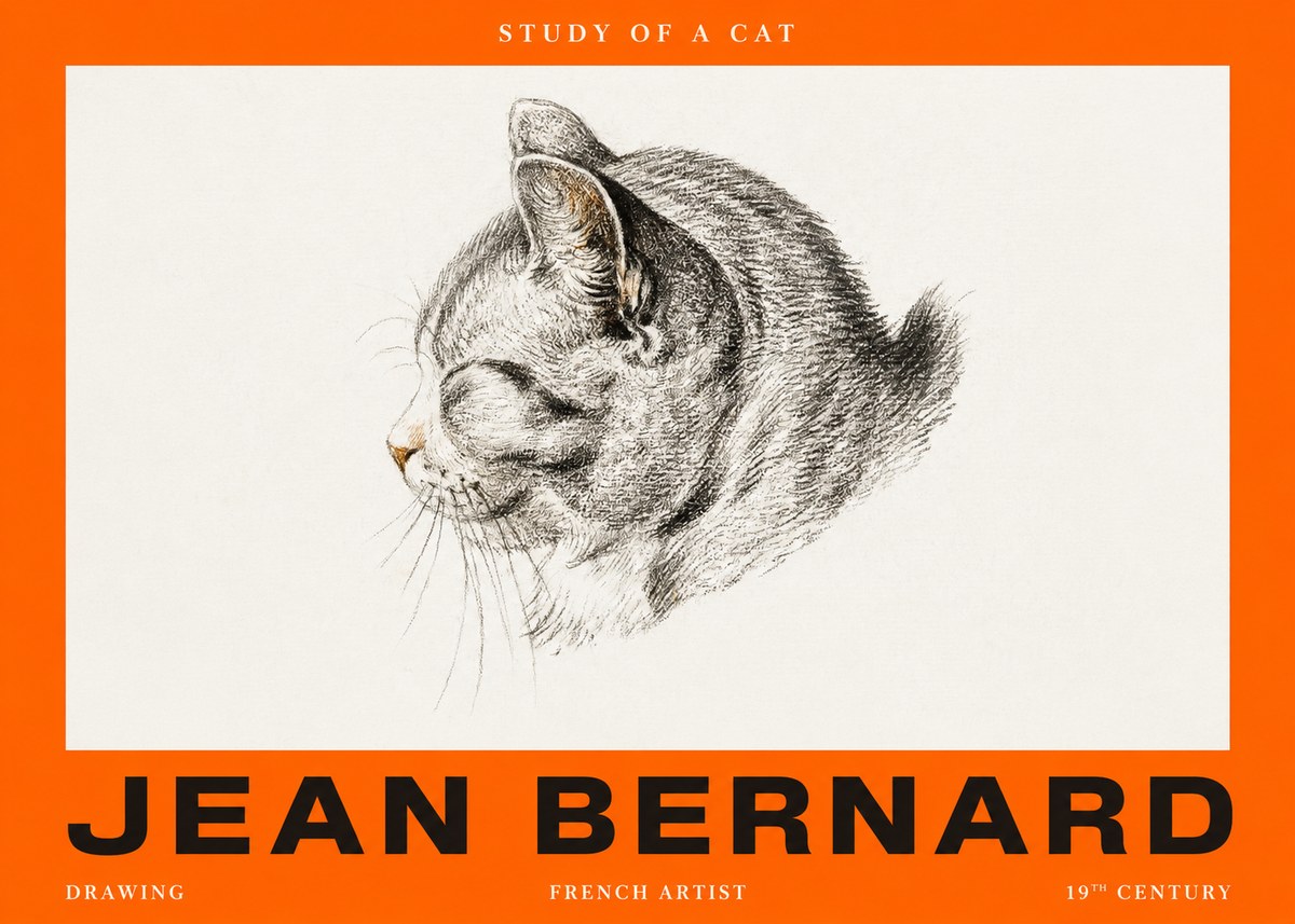 Jean Bernard Study of a Cat I No2 - Poster