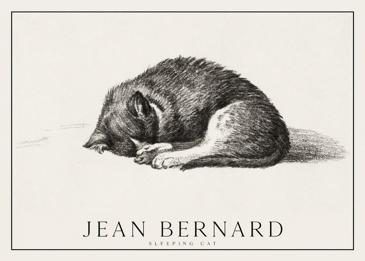 Jean Bernard Sleeping Cat III No1 - Poster
