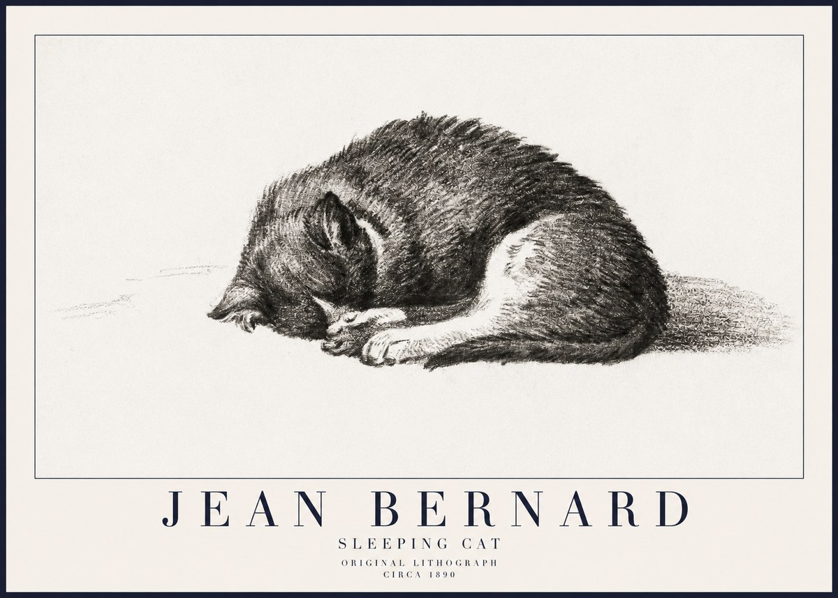 Jean Bernard Sleeping Cat III No6 - Poster