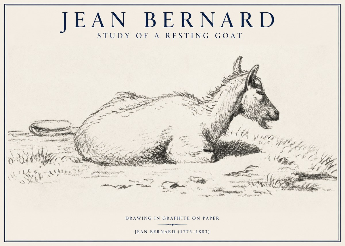 Jean Bernard Study of a Resting Goat No1 - Poster
