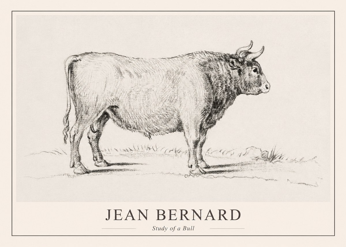 Jean Bernard Study of a Bull I No1 - Poster