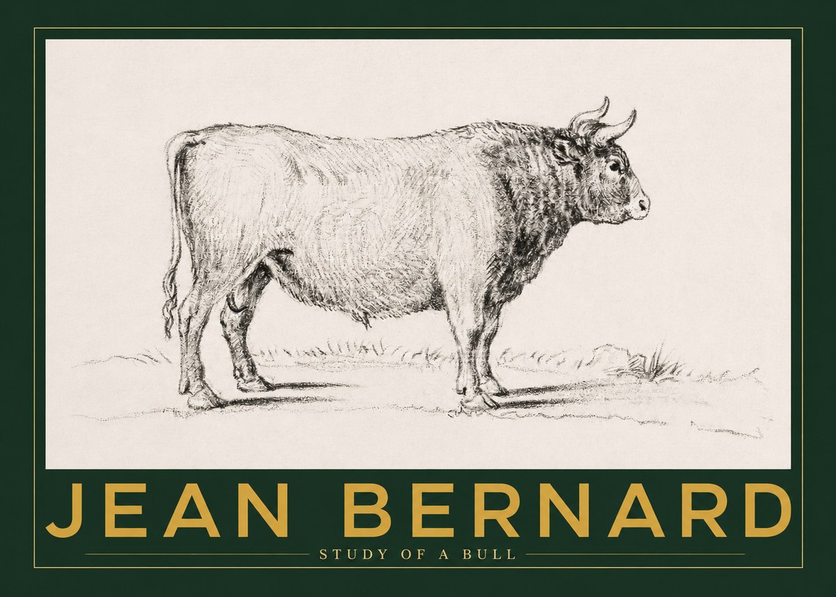 Jean Bernard Study of a Bull I No2 - Poster