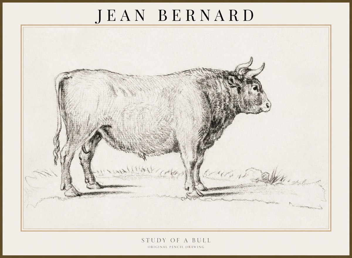 Jean Bernard Study of a Bull I No3 - Poster