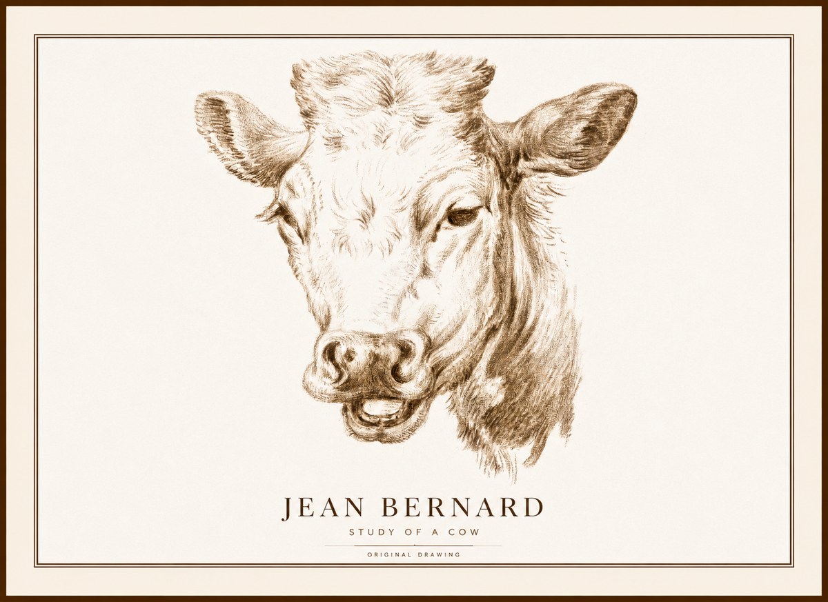 Jean Bernard Study of a Cow IV No1 - Poster