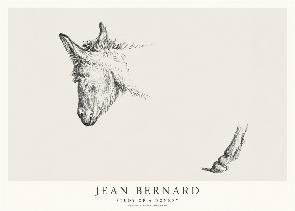 Jean Bernard Study of a Donkey II No1 - Poster