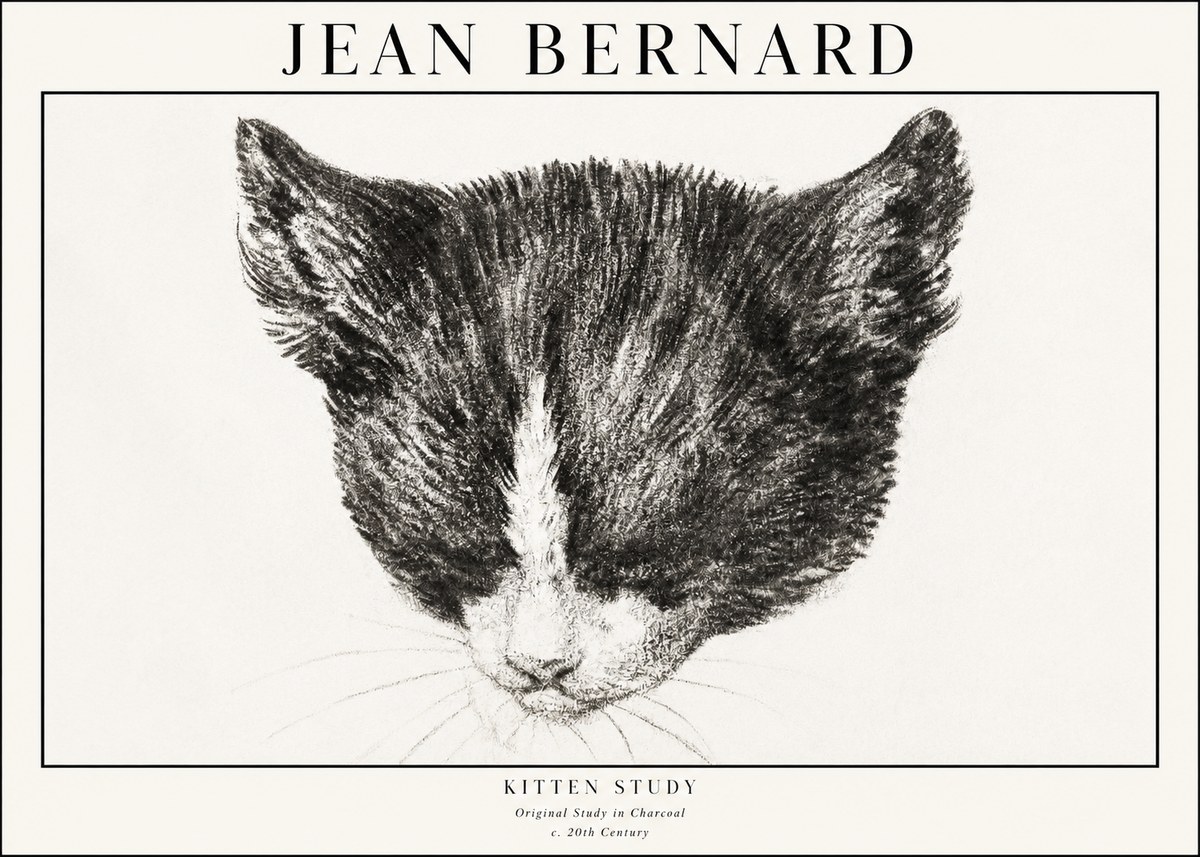 Jean Bernard Cat Study V No4 - Poster